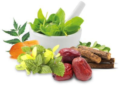 Ayurvedic Products